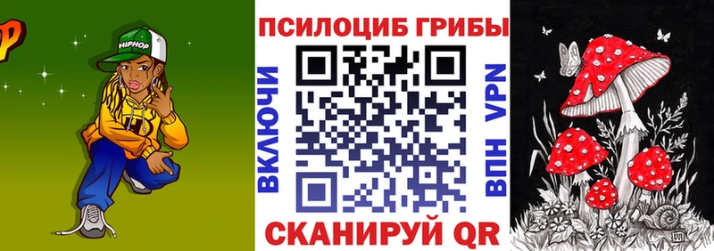 Псилоцибиновые грибы Psilocybe  Тосно 